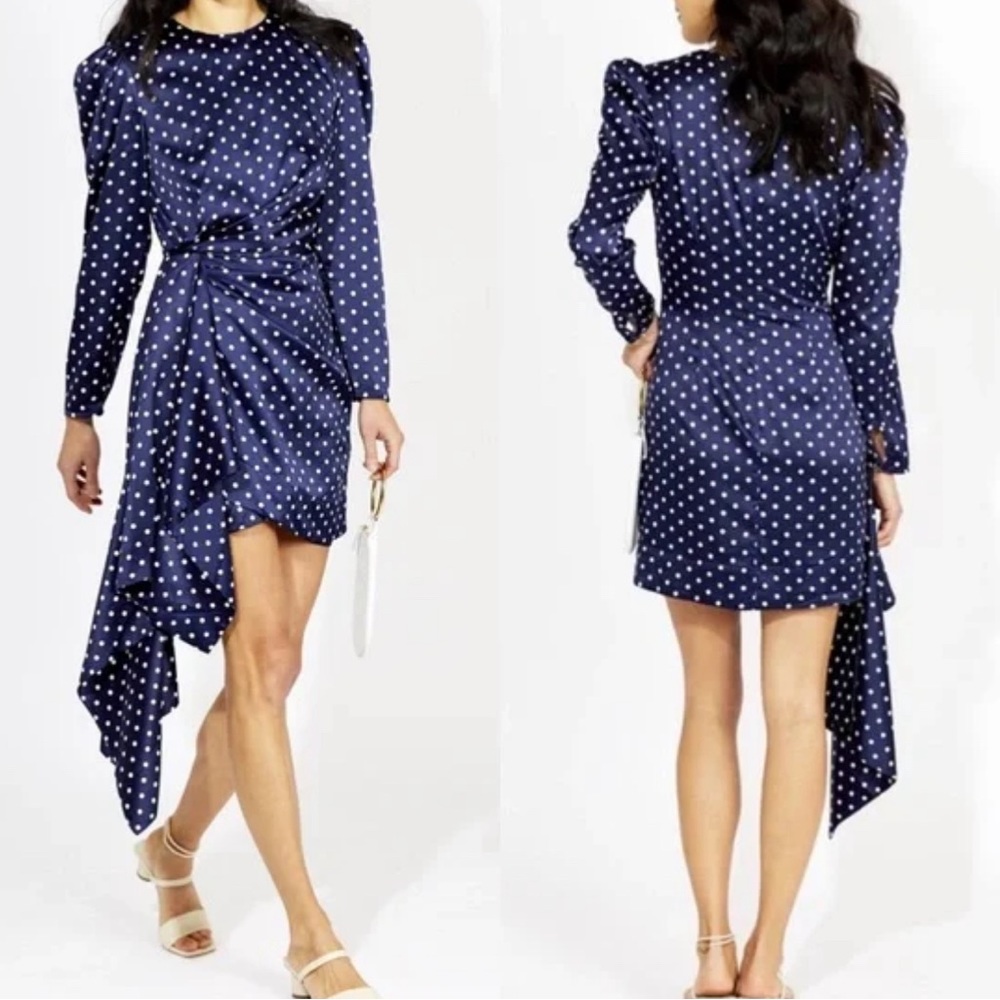 Keepsake Polka Dot Dress